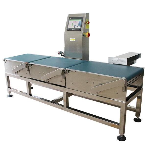 High Accuracy Conveyor Weight Checker Stainless Steel For Food Industrial