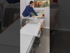 Stainless Steel Interceptor Industrial Metal Detector Conveyor Belt 220 Voltage