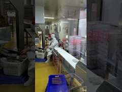 Food Processing Machinery Food X Ray Inspection Machine For Canned Fish