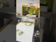 Auto Conveying Metal Detector Food Safety For Package Line , 300*150mm Tunnel Size