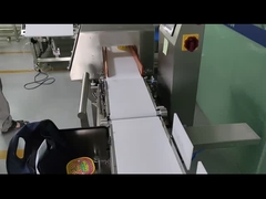 Food Metal Detector Detector Conveying Aluminum Foil Packaging Detector