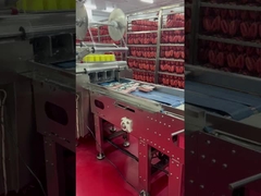 Food X Ray Machine For Food Industry HACCP approved