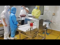 Digital Conveyor Metal Detector Food Safety / Medicine / Apparel Industry Use