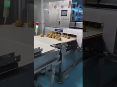 Automatic Conveyor Metal Detector 0.5mm Sensitivity Food / Cosmetic Raw Material Inspection