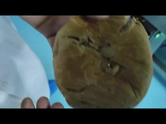 Automatic Conveyor Industrial  Metal Detector For Food Safety Machine Customized OEM Manufacturer