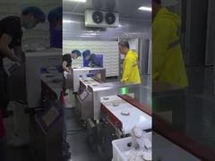 Food Metal Detector Detector Conveying Aluminum Foil Packaging Detector