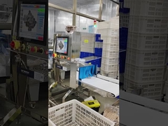 Wet Dry Food Products X Ray Inspection Machine For Industry Canned Bottled Products Package