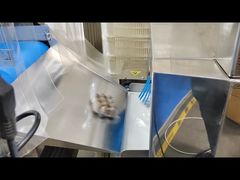 Food Safety Metal Glass Detector Can Products With Rejectors X-Ray Machines For The Food Industry