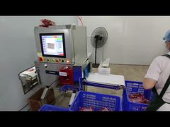 Industrial Food X Ray Inspection Machine for Quality Control