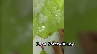 Food Xray Machine Detects Contaminants SA4025