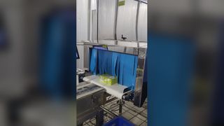 SHANAN Industrial Food X Ray Inspection System