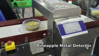Automatic Food Grade Metal Detector for Pineapple Production Lines