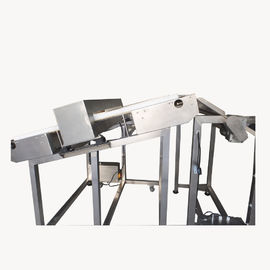 Inclined Conveyor Food Grade Metal Detector Customized High Stability And Sensitivity