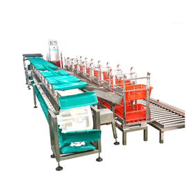 High Accurate Checkweigher Conveyor For Packing Weighing Machine