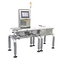 High Accuracy Dynamic Checkweighers for Candy Processing