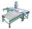 Stainless Steel Conveyor Weight Checker 110v / 220v With Reject System