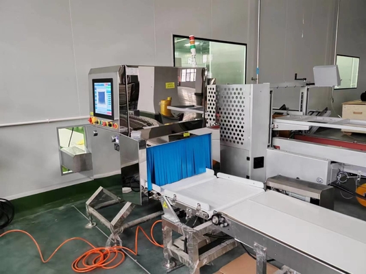 Food X Ray Inspection Equipment For Industrial Detection Of All Metals Glass